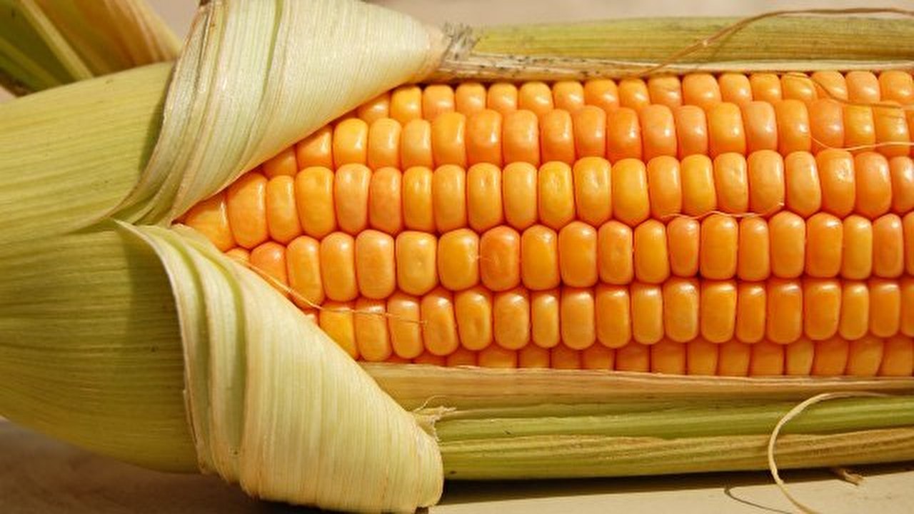 133906936850b9f7aa93780433173225_640x390.jpg