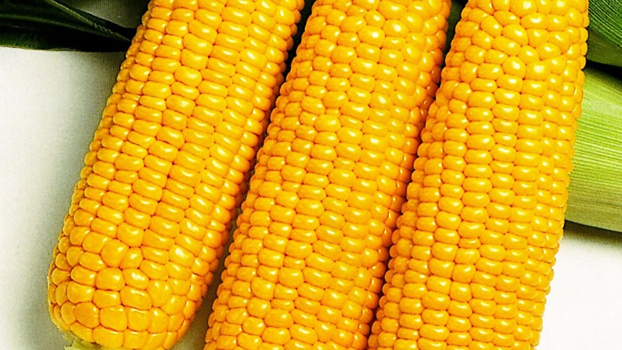 fdi118.jpg